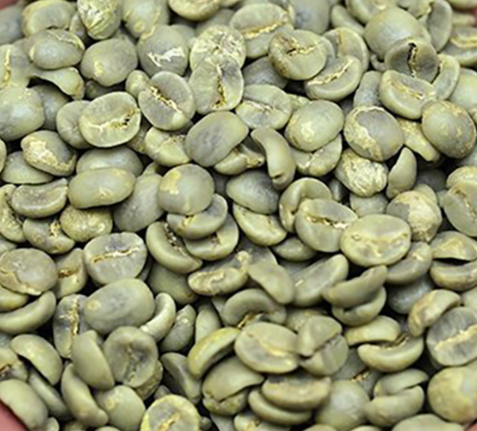 Unroasted - Indian Arabica Coffee