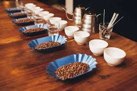 Foundations of Coffee Cupping & Taste Calibration