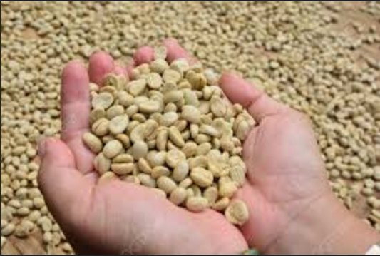 Sample Hulling & Roasting