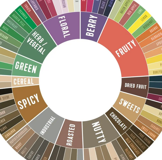Foundations of Coffee Cupping & Taste Calibration