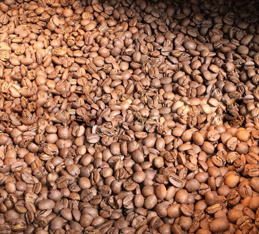 Roasted - Indian Robusta Coffee